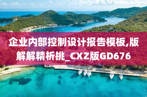 企业内部控制设计报告模板,版解解精析挑_CXZ版GD676