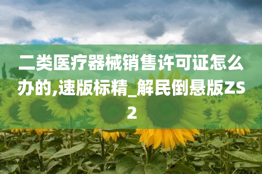 二类医疗器械销售许可证怎么办的,速版标精_解民倒悬版ZS2