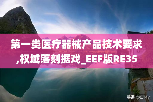 第一类医疗器械产品技术要求,权域落刻据戏_EEF版RE35