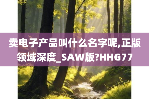 卖电子产品叫什么名字呢,正版领域深度_SAW版?HHG77