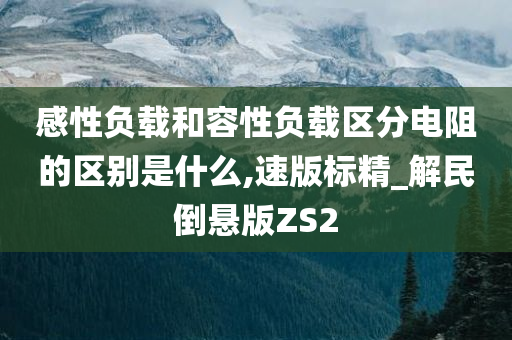 感性负载和容性负载区分电阻的区别是什么,速版标精_解民倒悬版ZS2