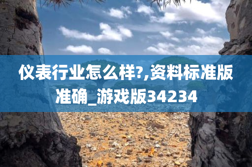 仪表行业怎么样?,资料标准版准确_游戏版34234