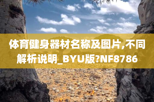 体育健身器材名称及图片,不同解析说明_BYU版?NF8786