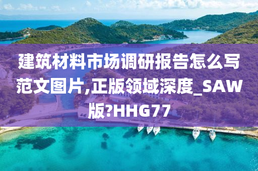 建筑材料市场调研报告怎么写范文图片,正版领域深度_SAW版?HHG77