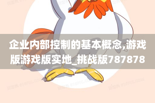 企业内部控制的基本概念,游戏版游戏版实地_挑战版787878