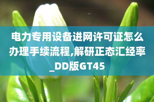 电力专用设备进网许可证怎么办理手续流程,解研正态汇经率_DD版GT45