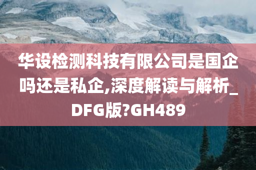 华设检测科技有限公司是国企吗还是私企,深度解读与解析_DFG版?GH489