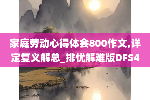 家庭劳动心得体会800作文,详定复义解总_排忧解难版DFS4