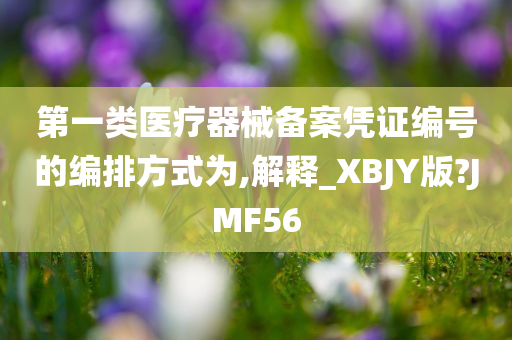 第一类医疗器械备案凭证编号的编排方式为,解释_XBJY版?JMF56