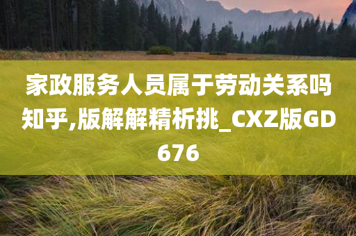 家政服务人员属于劳动关系吗知乎,版解解精析挑_CXZ版GD676