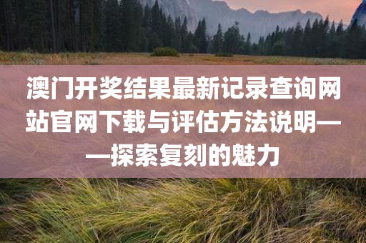 澳门开奖结果最新记录查询网站官网下载与评估方法说明——探索复刻的魅力