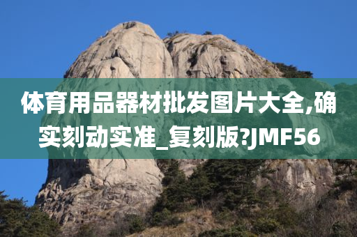 体育用品器材批发图片大全,确实刻动实准_复刻版?JMF56