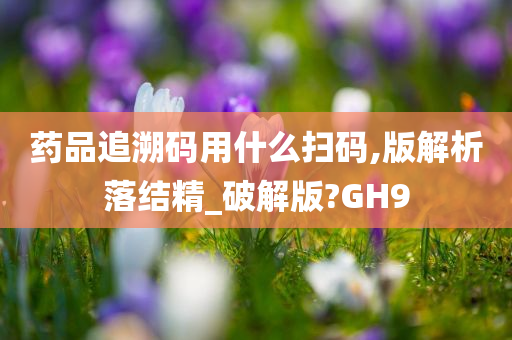 药品追溯码用什么扫码,版解析落结精_破解版?GH9