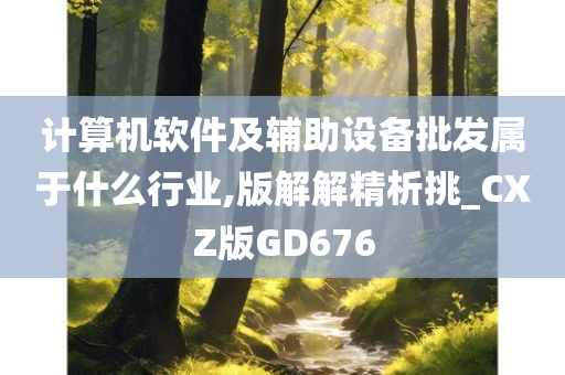 计算机软件及辅助设备批发属于什么行业,版解解精析挑_CXZ版GD676