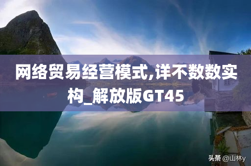 网络贸易经营模式,详不数数实构_解放版GT45