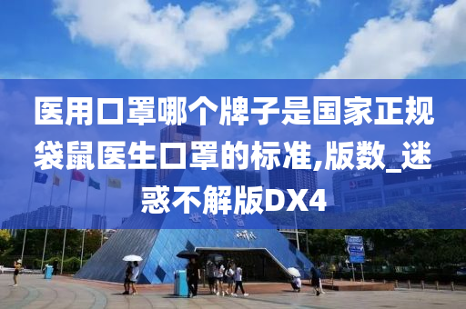 医用口罩哪个牌子是国家正规袋鼠医生口罩的标准,版数_迷惑不解版DX4