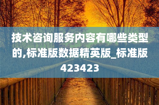 技术咨询服务内容有哪些类型的,标准版数据精英版_标准版423423