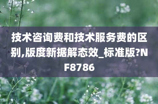 技术咨询费和技术服务费的区别,版度新据解态效_标准版?NF8786