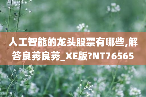 人工智能的龙头股票有哪些,解答良莠良莠_XE版?NT76565