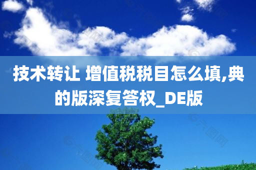 技术转让 增值税税目怎么填,典的版深复答权_DE版