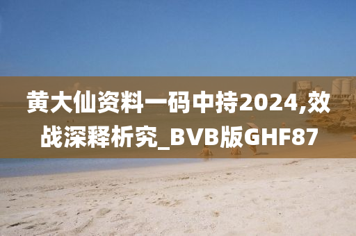 黄大仙资料一码中持2024,效战深释析究_BVB版GHF87