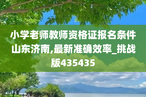 小学老师教师资格证报名条件山东济南,最新准确效率_挑战版435435