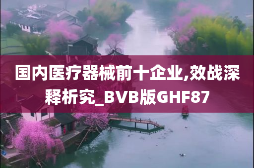 国内医疗器械前十企业,效战深释析究_BVB版GHF87