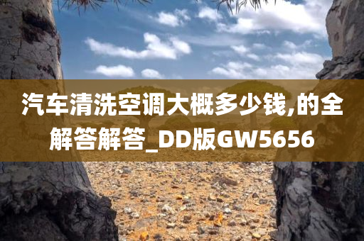 汽车清洗空调大概多少钱,的全解答解答_DD版GW5656