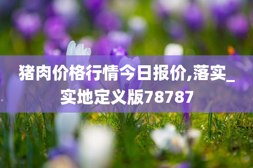 猪肉价格行情今日报价,落实_实地定义版78787