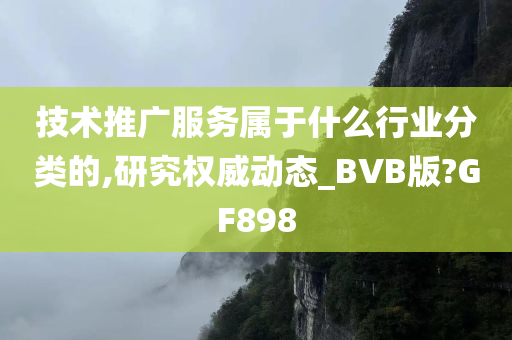 技术推广服务属于什么行业分类的,研究权威动态_BVB版?GF898