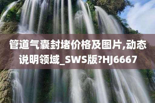 管道气囊封堵价格及图片,动态说明领域_SWS版?HJ6667