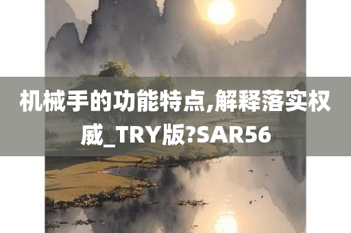 机械手的功能特点,解释落实权威_TRY版?SAR56