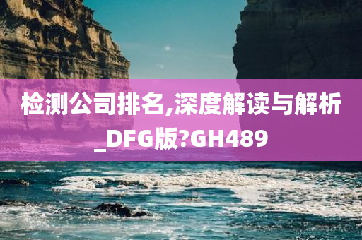 检测公司排名,深度解读与解析_DFG版?GH489