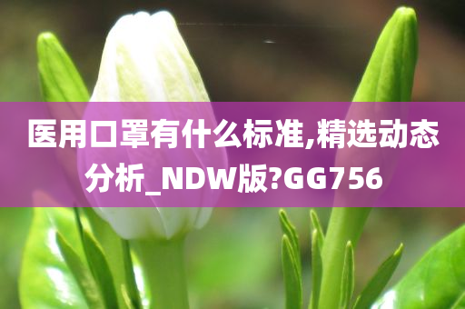 医用口罩有什么标准,精选动态分析_NDW版?GG756