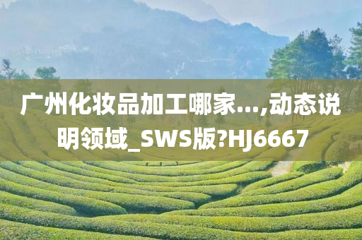 广州化妆品加工哪家...,动态说明领域_SWS版?HJ6667