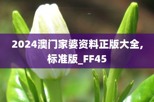 2024澳门家婆资料正版大全,标准版_FF45