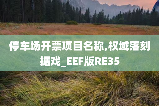 停车场开票项目名称,权域落刻据戏_EEF版RE35