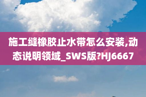 施工缝橡胶止水带怎么安装,动态说明领域_SWS版?HJ6667