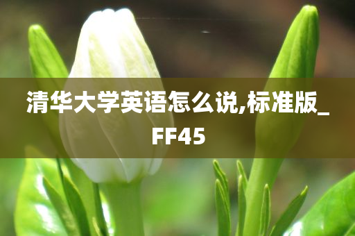 清华大学英语怎么说,标准版_FF45