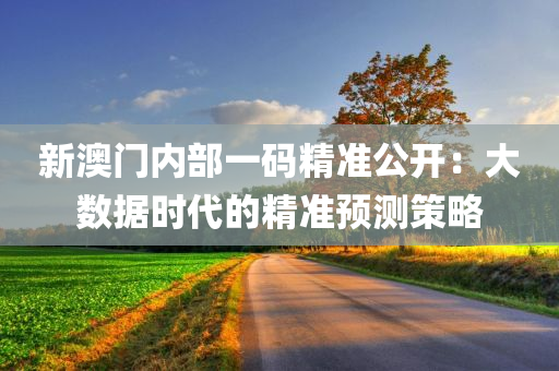 新澳门内部一码精准公开：大数据时代的精准预测策略