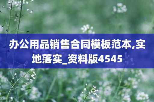 办公用品销售合同模板范本,实地落实_资料版4545