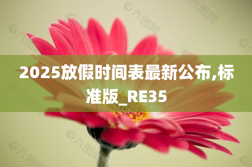 2025放假时间表最新公布,标准版_RE35