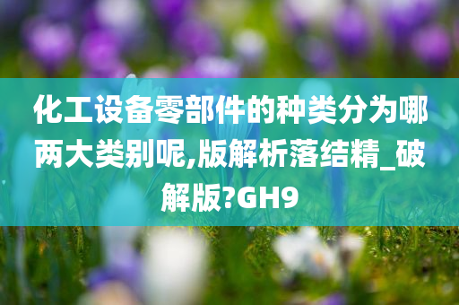 化工设备零部件的种类分为哪两大类别呢,版解析落结精_破解版?GH9