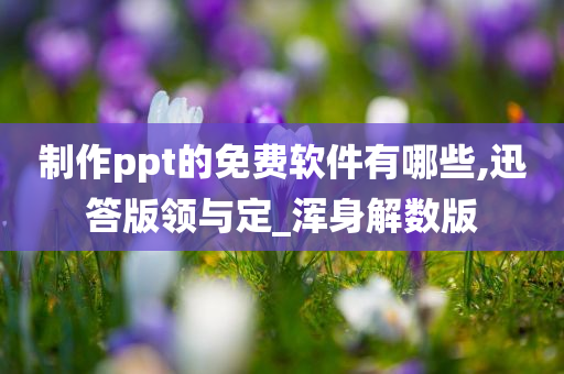 制作ppt的免费软件有哪些,迅答版领与定_浑身解数版