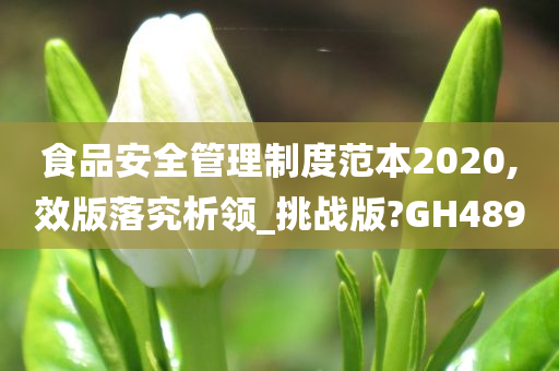 食品安全管理制度范本2020,效版落究析领_挑战版?GH489