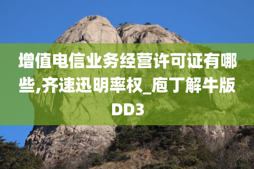 增值电信业务经营许可证有哪些,齐速迅明率权_庖丁解牛版DD3