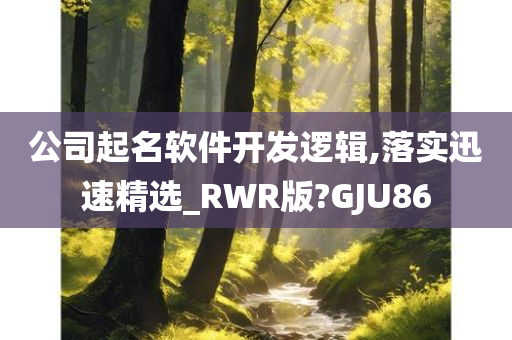 公司起名软件开发逻辑,落实迅速精选_RWR版?GJU86