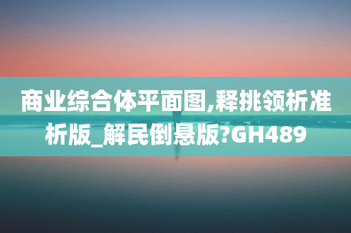 商业综合体平面图,释挑领析准析版_解民倒悬版?GH489