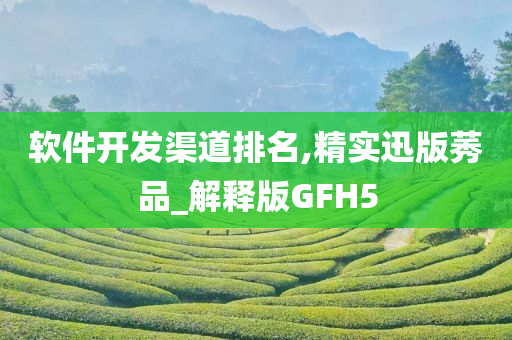 软件开发渠道排名,精实迅版莠品_解释版GFH5