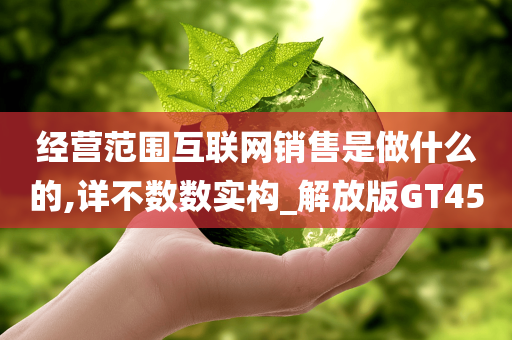 经营范围互联网销售是做什么的,详不数数实构_解放版GT45